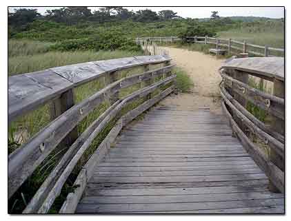 South Cape Beach Over the Dune Bridge