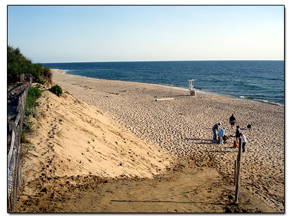 Newcomb Hollow Beach