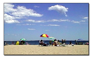 Beach Umbrella