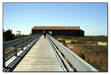 Hammonasset East Beach