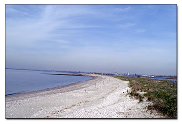 Long Beach view