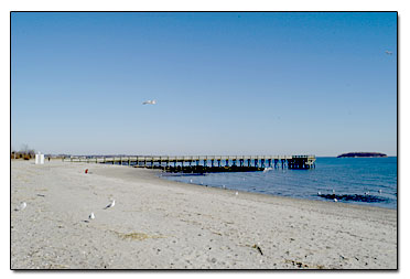 View toward Charles Island