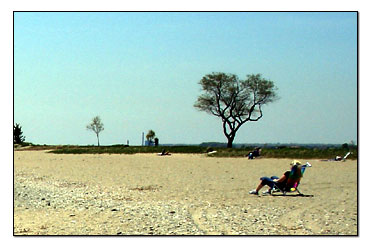 Summer Fun Beach