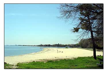 Sherwood Island Beach