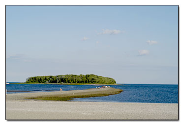 View of Charles Island