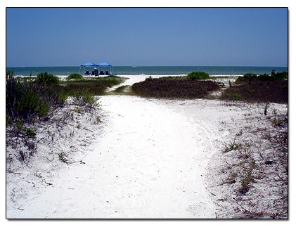 View looking toward Gulf beach