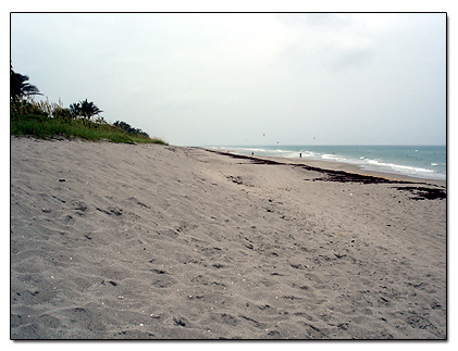 Looking north from Juno Beach