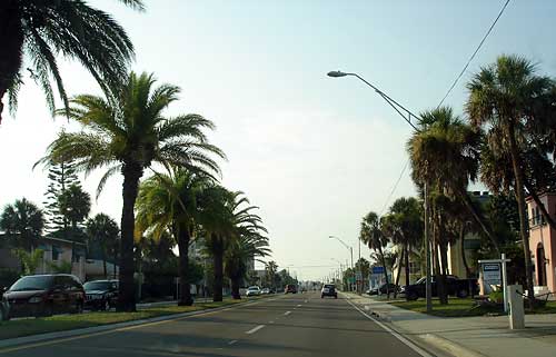 florida beaches with palm trees. and lots of palm trees.