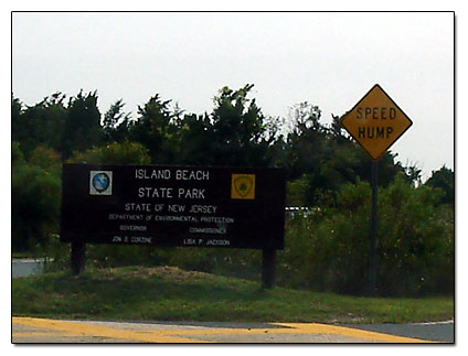 Island Beach state Park