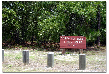 Carolina beach State Park