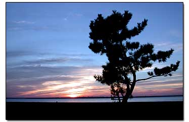 Bristol Beach Sunset