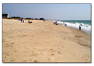 Charlestown Town Beach