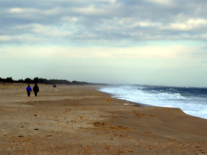 people walking on beach. several people walking on the