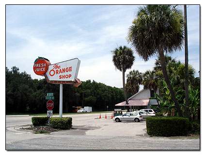 Florida Orange shop